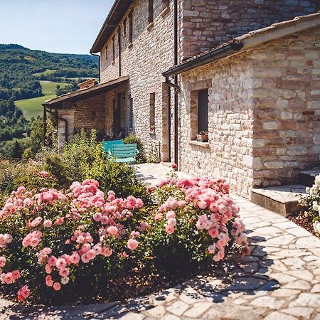 Agriturismo Casal San Sergio Fossombrone Dış mekan fotoğraf