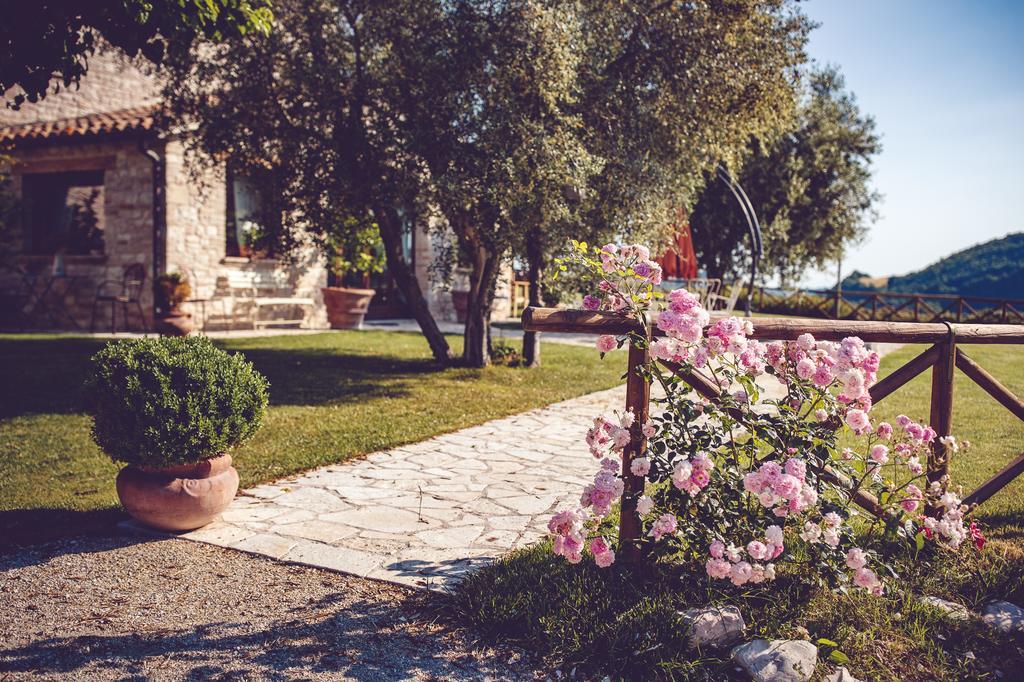 Agriturismo Casal San Sergio Fossombrone Dış mekan fotoğraf