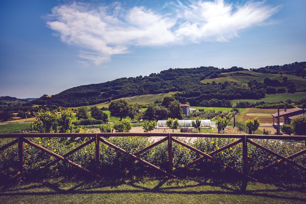 Agriturismo Casal San Sergio Fossombrone Dış mekan fotoğraf