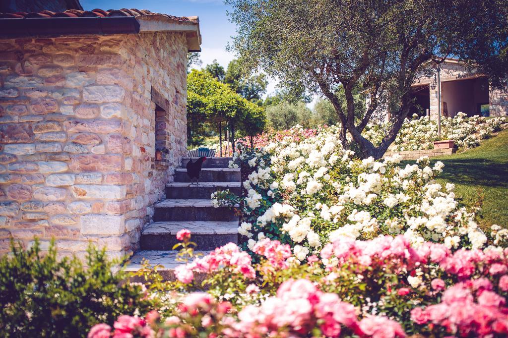 Agriturismo Casal San Sergio Fossombrone Dış mekan fotoğraf