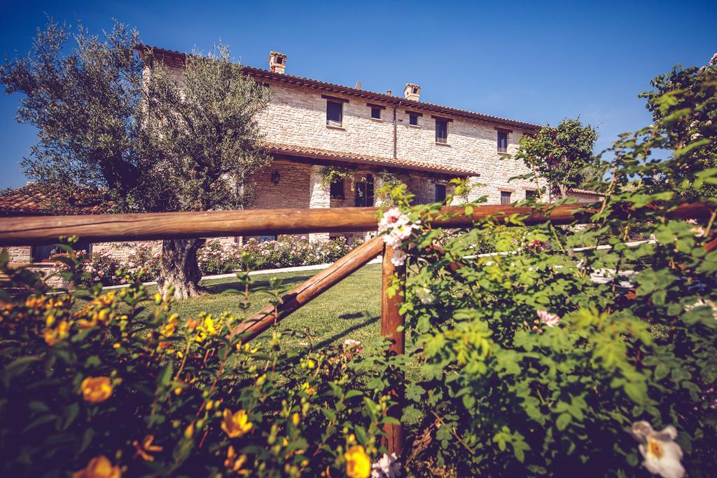 Agriturismo Casal San Sergio Fossombrone Dış mekan fotoğraf