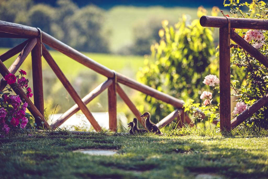 Agriturismo Casal San Sergio Fossombrone Dış mekan fotoğraf